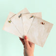 Feathered Friends Flat Note Boxed Set