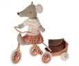 Tricycle Hanger