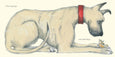 Dogs