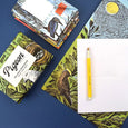 Pigeon Letter Pack