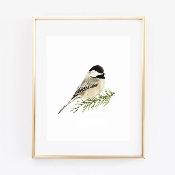 Chickadee Art Print