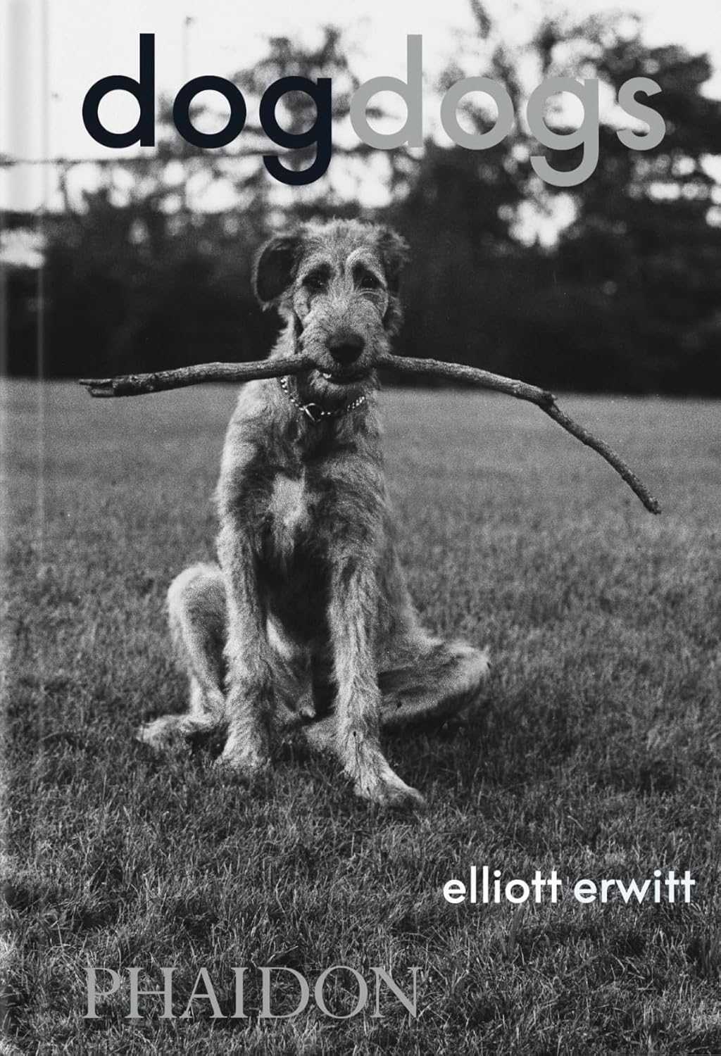 DogDogs
