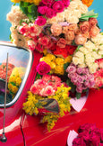 Coming Up Roses Puzzle