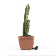 Amuseables Monstera Plant
