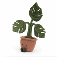 Amuseables Monstera Plant