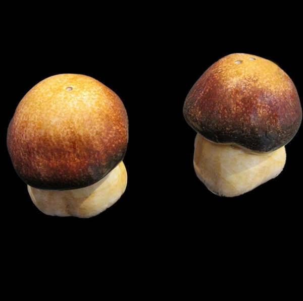 Mushroom Salt & Pepper Shakers
