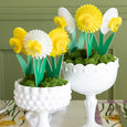 Honeycomb Daffodil