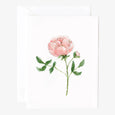 Garden Rose Notecard Set