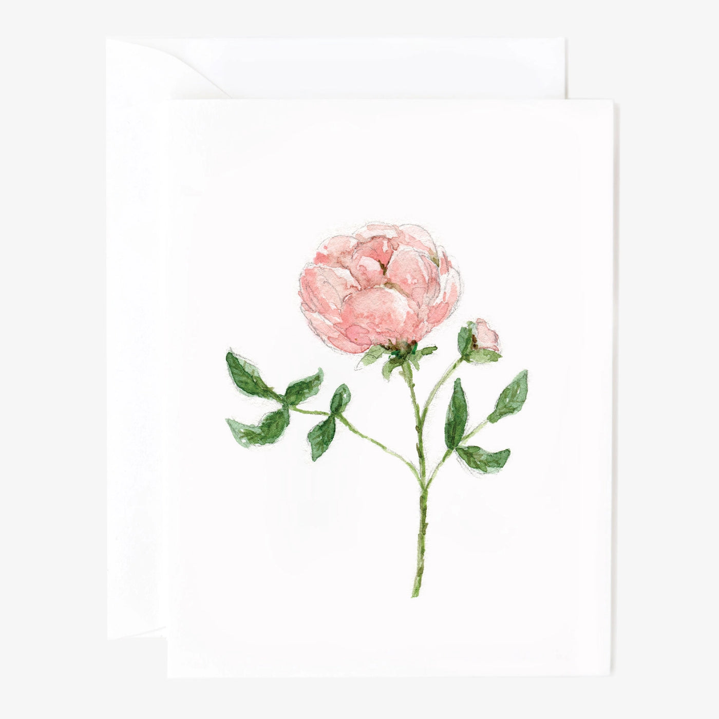 Garden Rose Notecard Set