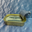 Tinned Fish Candle