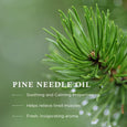 Wiberg’s Pine Bath Essence