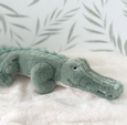 Jagger Alligator