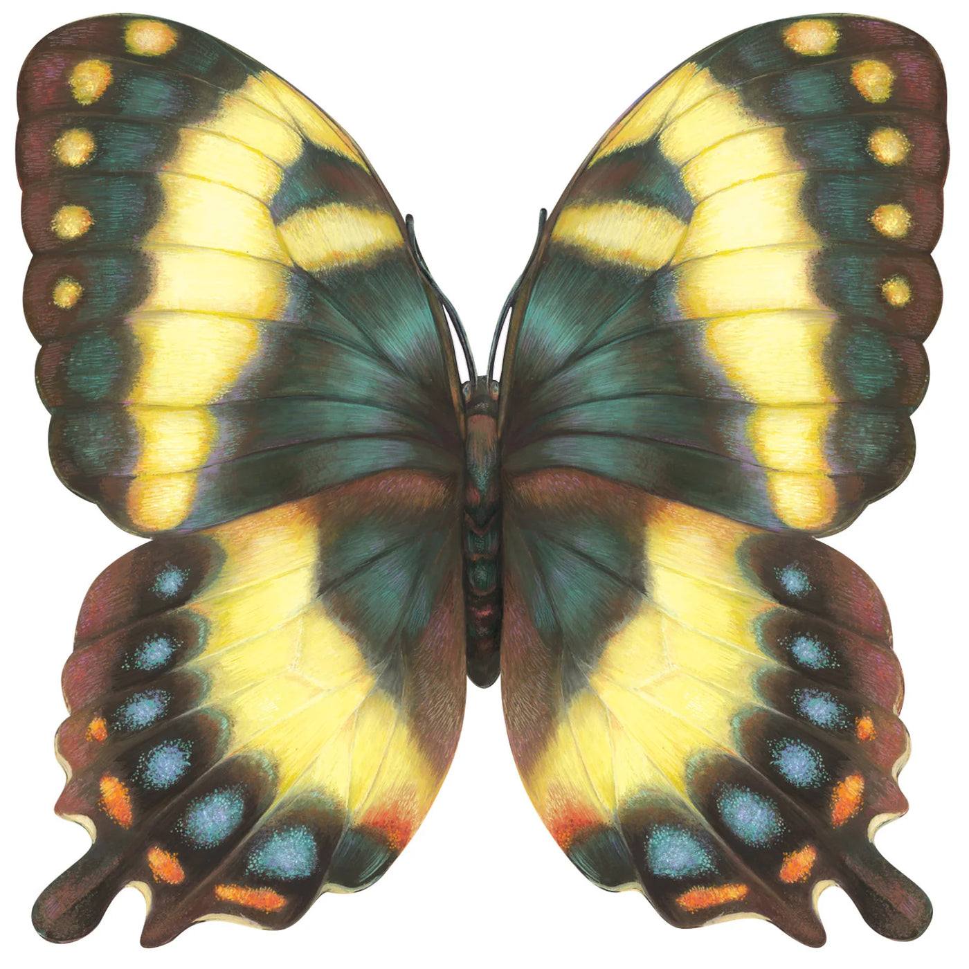 Butterfly Placemats