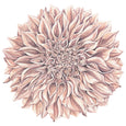 Dahlia Placemats