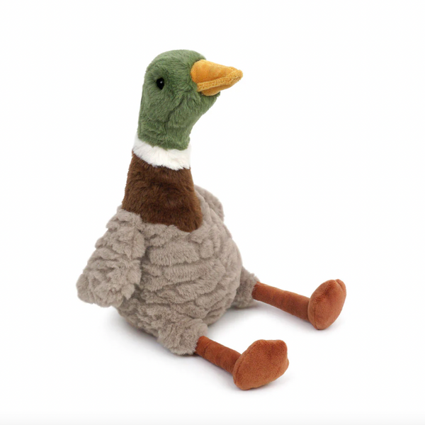 River Mallard Duck