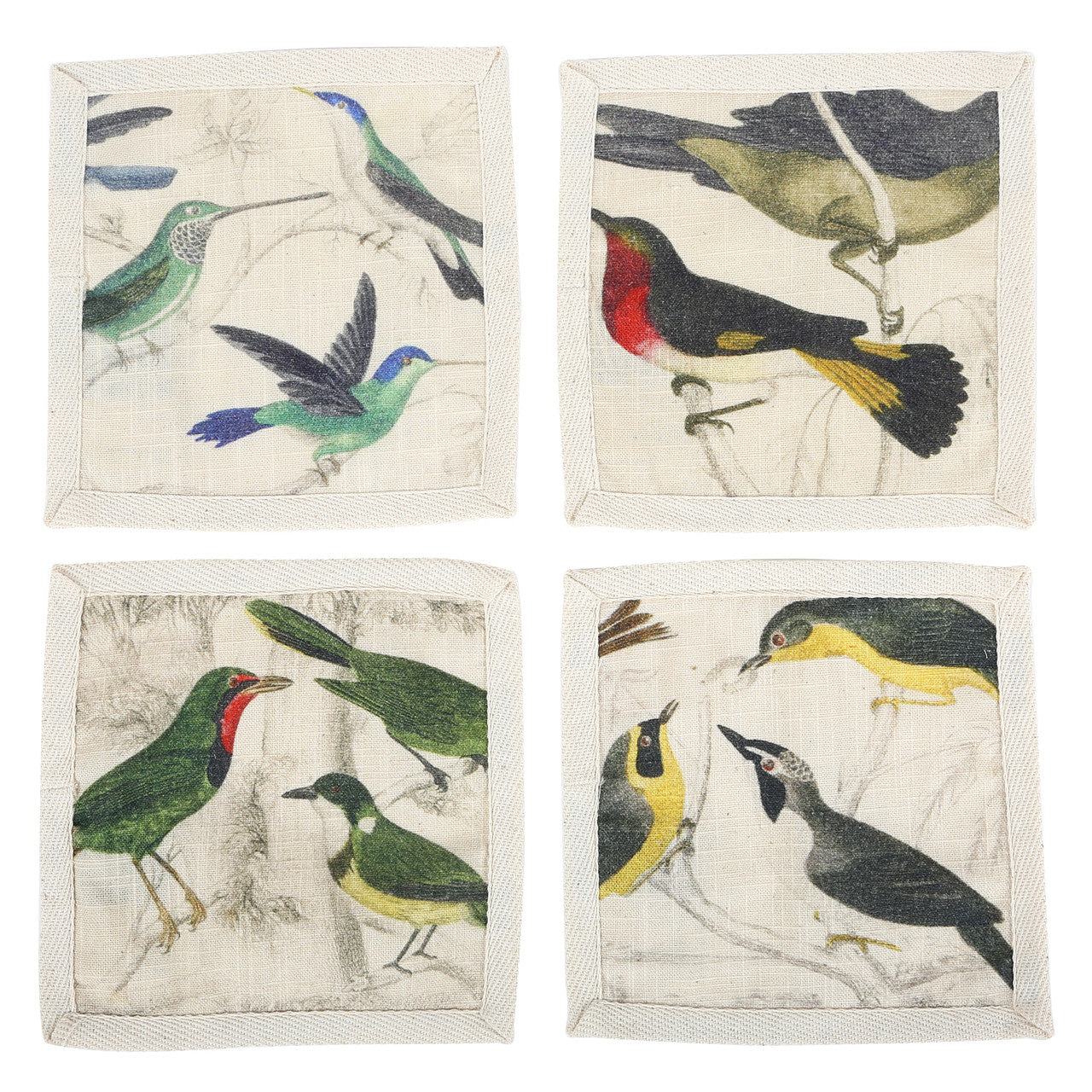 Ornithology Cocktail Napkins