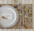 Shell Study Placemats