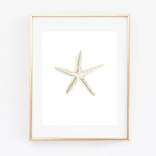 Starfish Art Print