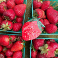 Strawberry Hair Clip
