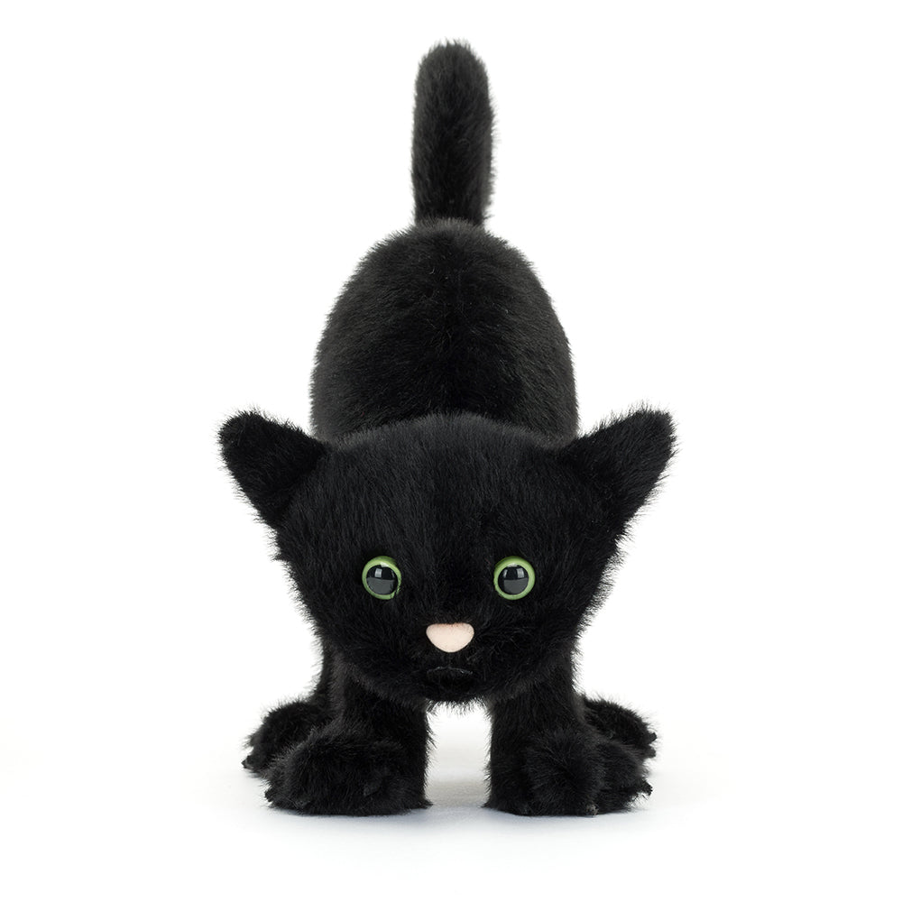 Spookipaws Cat