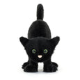 Spookipaws Cat