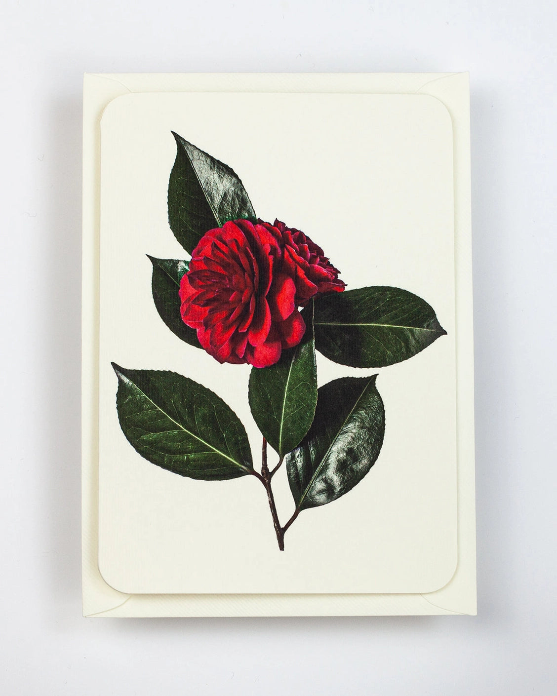 Camellia Card