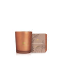 Thymes Pumpkin Laurel Collection