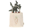 Carrots in Shopping Bag