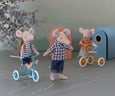 Tricycle Basket