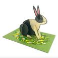 Animal Pop-Out Card