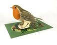 Animal Pop-Out Card