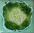 Geode Crackle Coaster