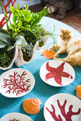 Coral Brand Dinner Plate