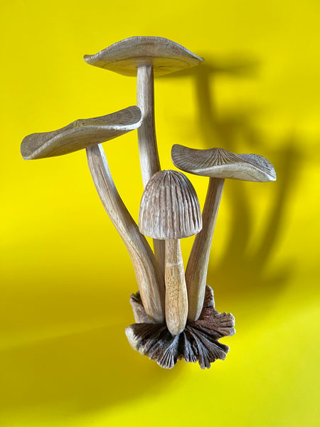 Wooden Mushroom