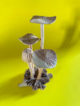 Wooden Mushroom