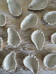 Oyster Shell Stoneware