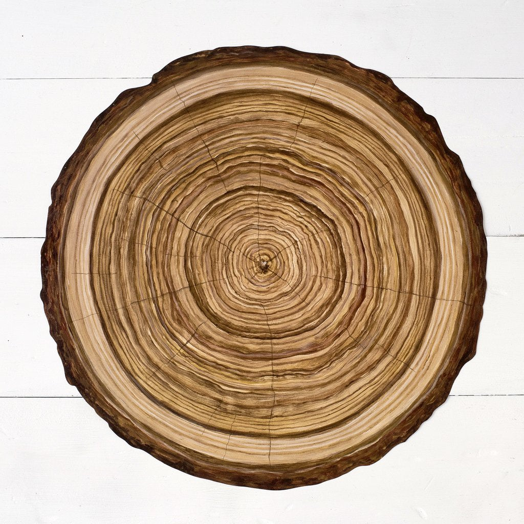 Wood Slice Placemats