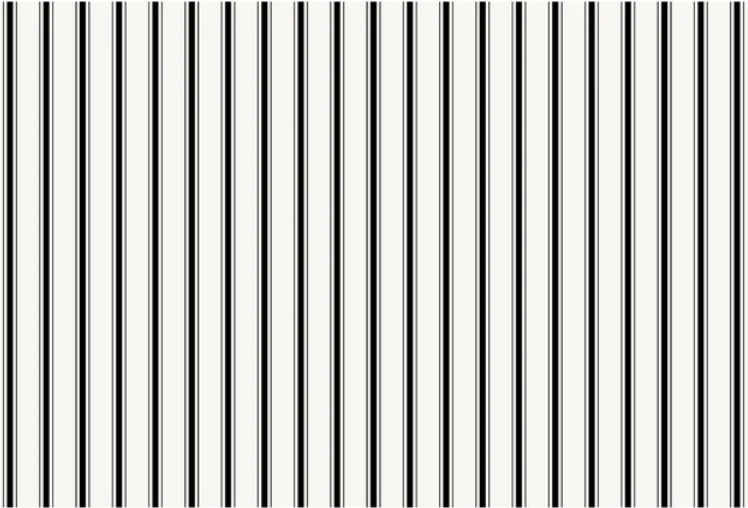 Black Ribbon Stripe Placemats