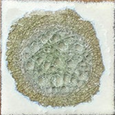 Geode Crackle Coaster