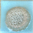 Geode Crackle Coaster