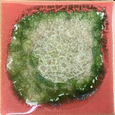 Geode Crackle Coaster