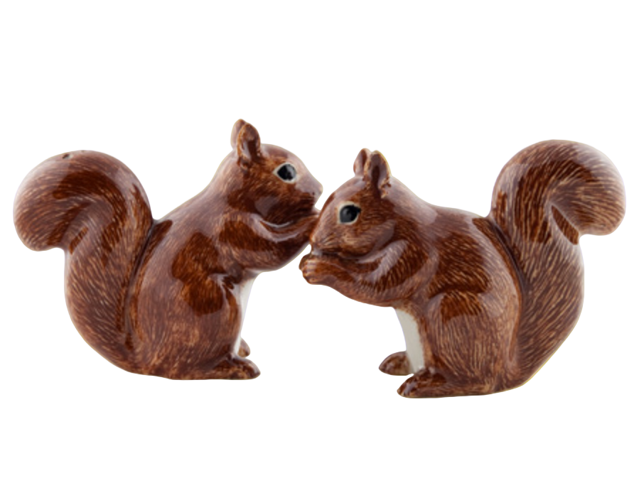 Squirrel Salt & Pepper Set
