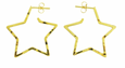 Hammered Star Hoop Post Earrings