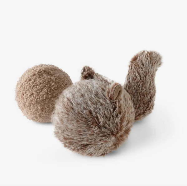 Squirrel Dog Toy