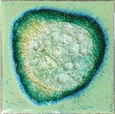 Geode Crackle Coaster