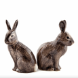 Wild Rabbit Salt & Pepper Set