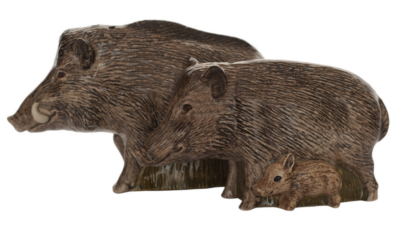 Wild Boar Salt & Pepper Set