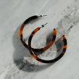 Atelier Tortoise Hoops