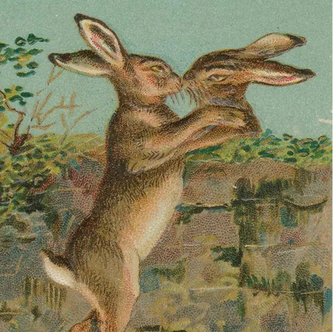 two bunnies, sharing a sweet kiss over a wall that separates them.