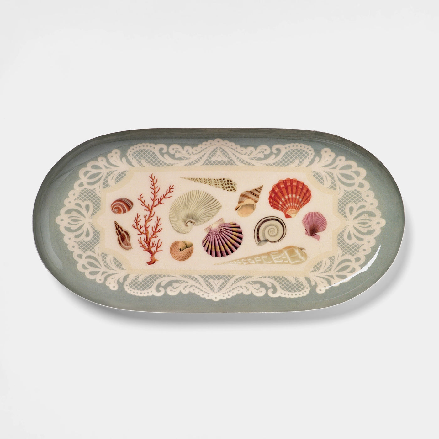 Specimens of the Sea Enamel Tray